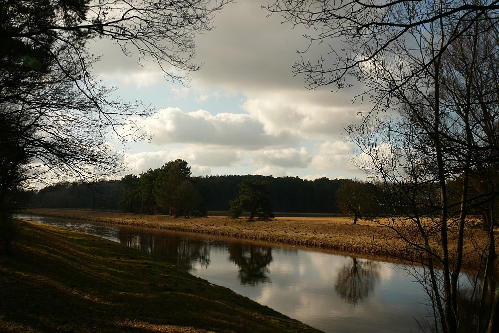 Wald, Wolken und Wasser