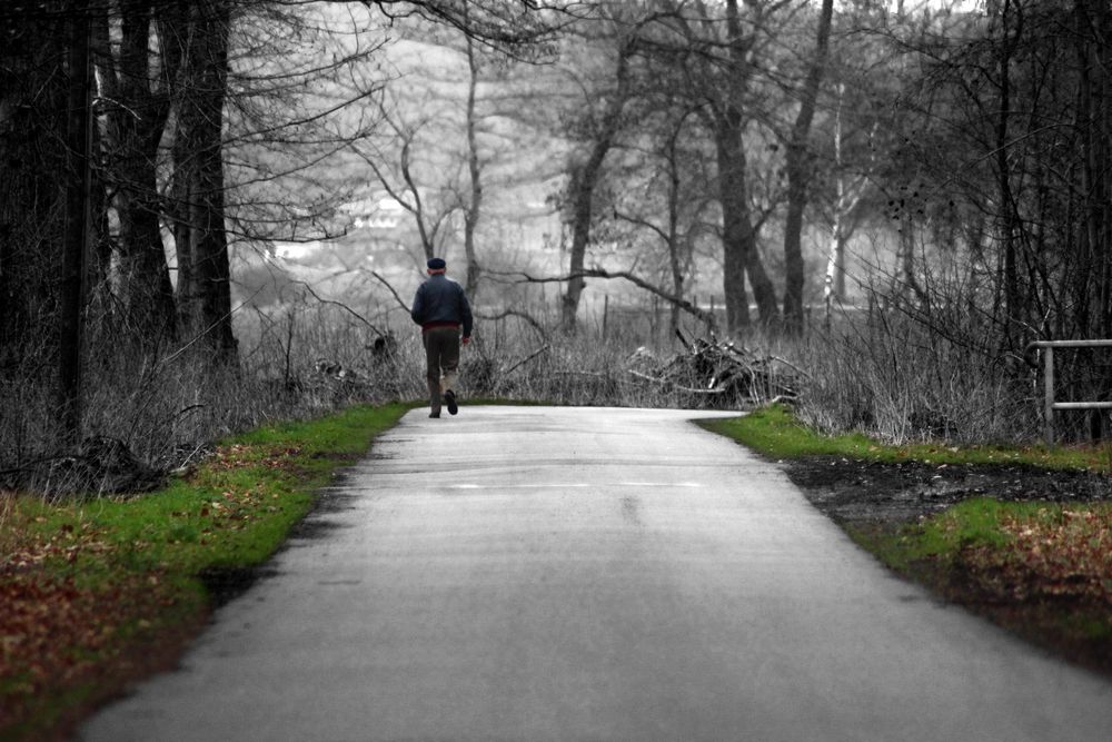 Wald zu weg