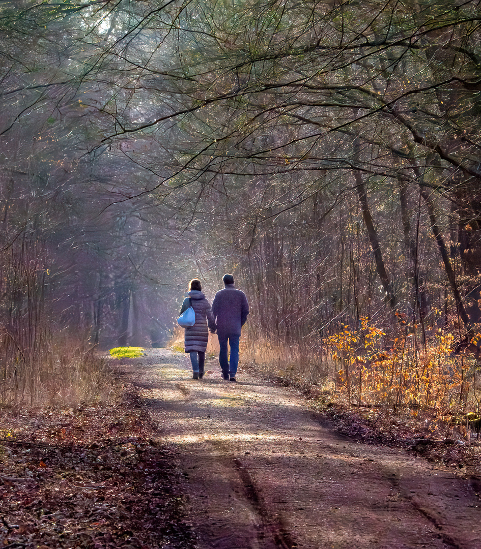 Wald1