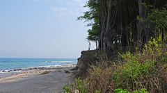 Waldabbruchkante an der Ostseeküste bei Heiligendamm