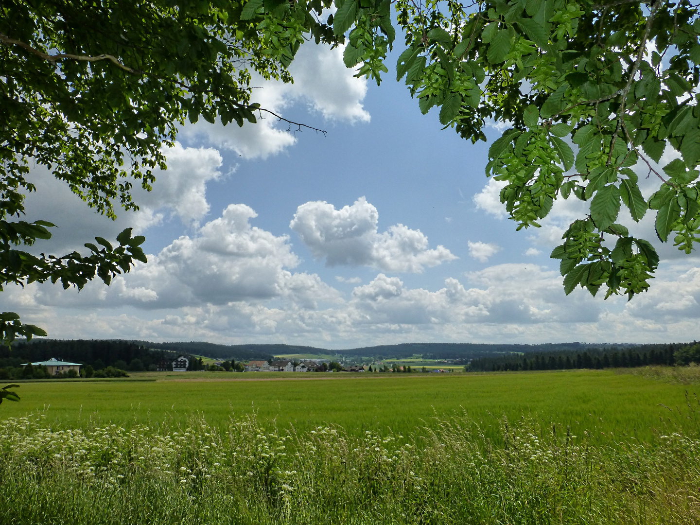 Waldachtal am Rande des Schwarzwalds ...