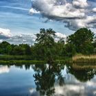 Waldalgesheimer Weiher