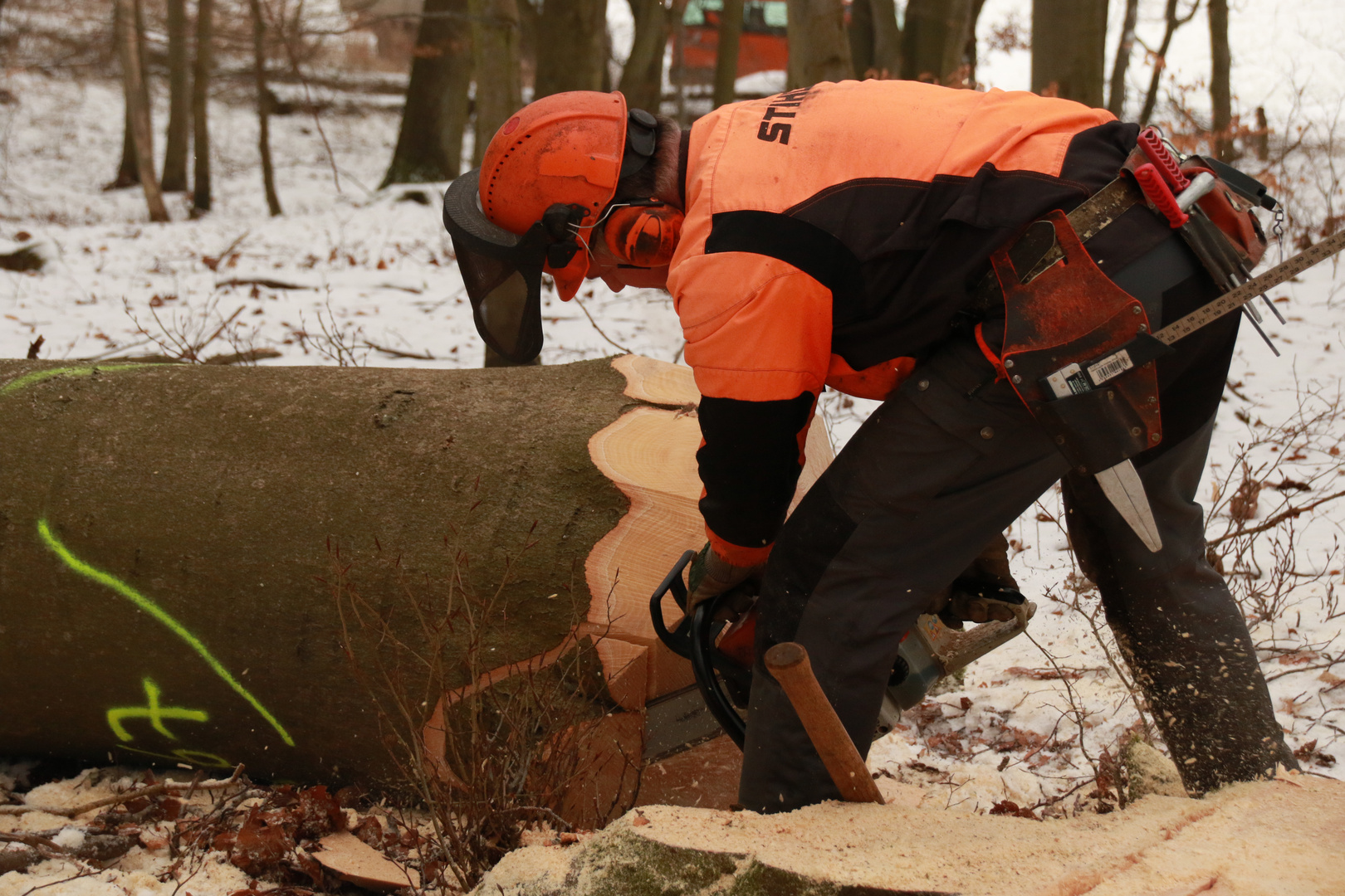 Waldarbeit bei der Durchforstung