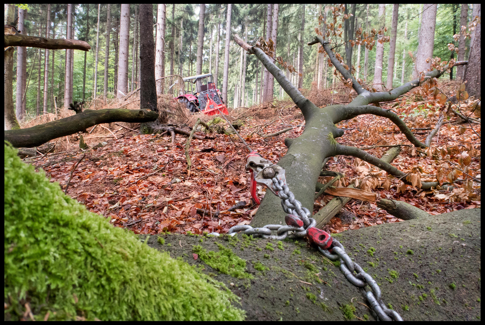 "Waldarbeit Franken"