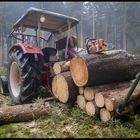 Waldarbeit in Franken