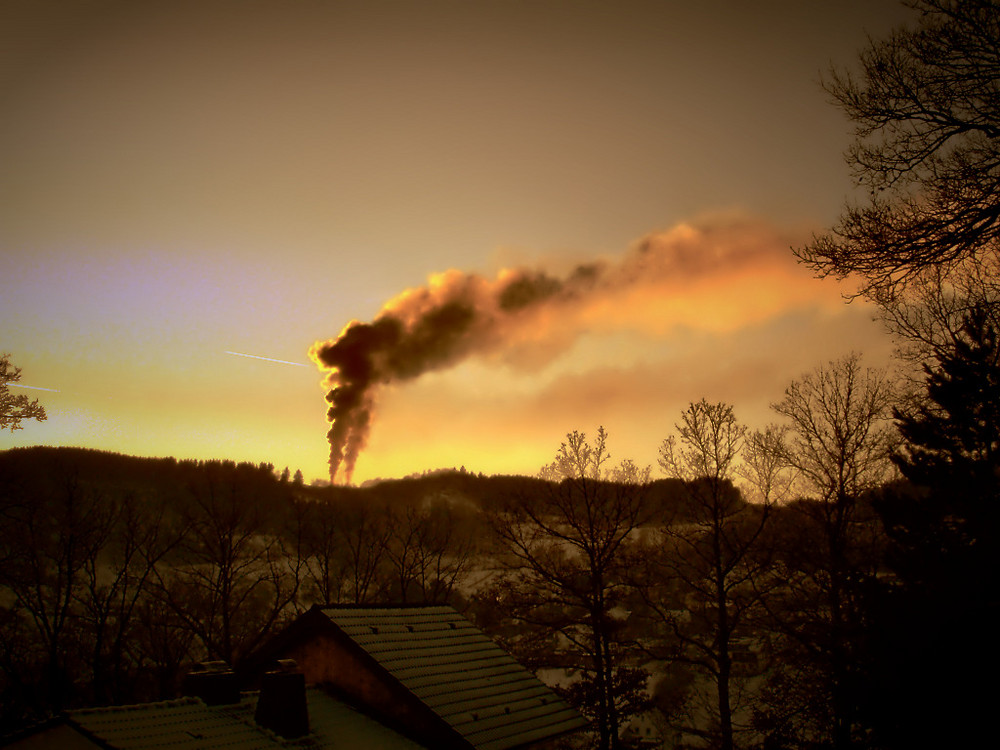 Waldarbeiten - Feuer