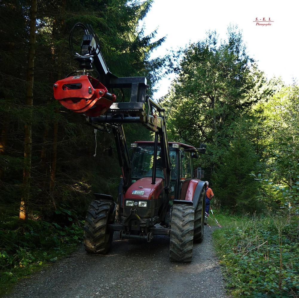 "Waldarbeiter begegnet auf dem Weg zur Siede Alpe"