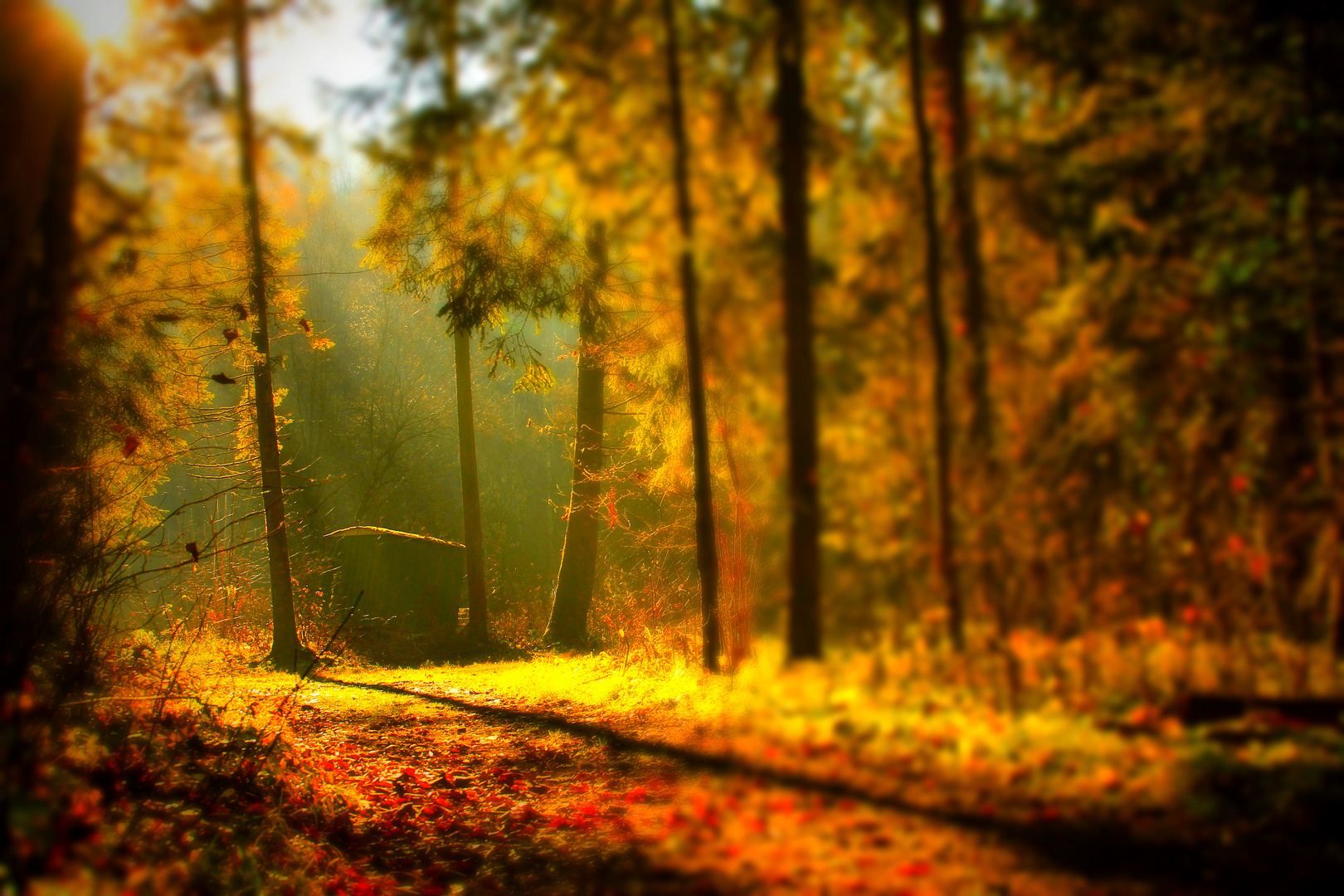 Waldarbeiterwagen im Herbstwald