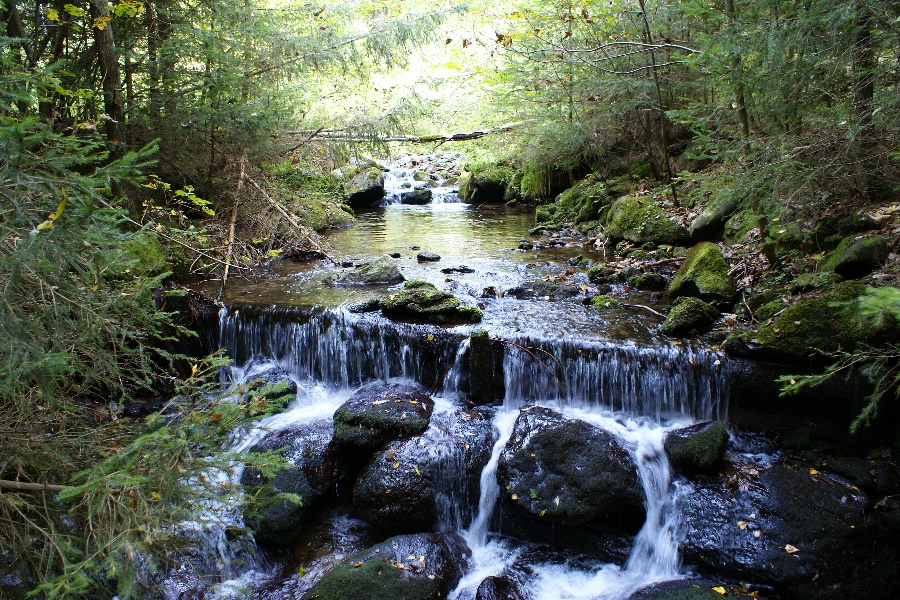 Waldbach 2, Bayerischer Wald