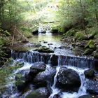 Waldbach 2, Bayerischer Wald