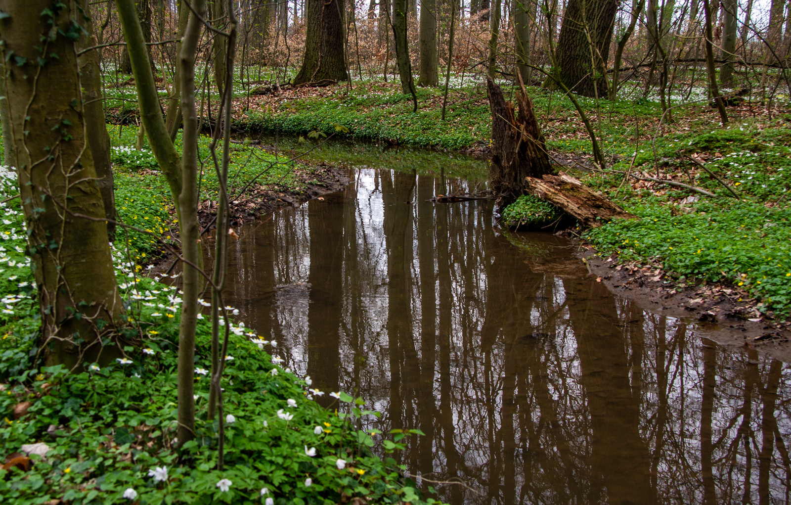 Waldbach