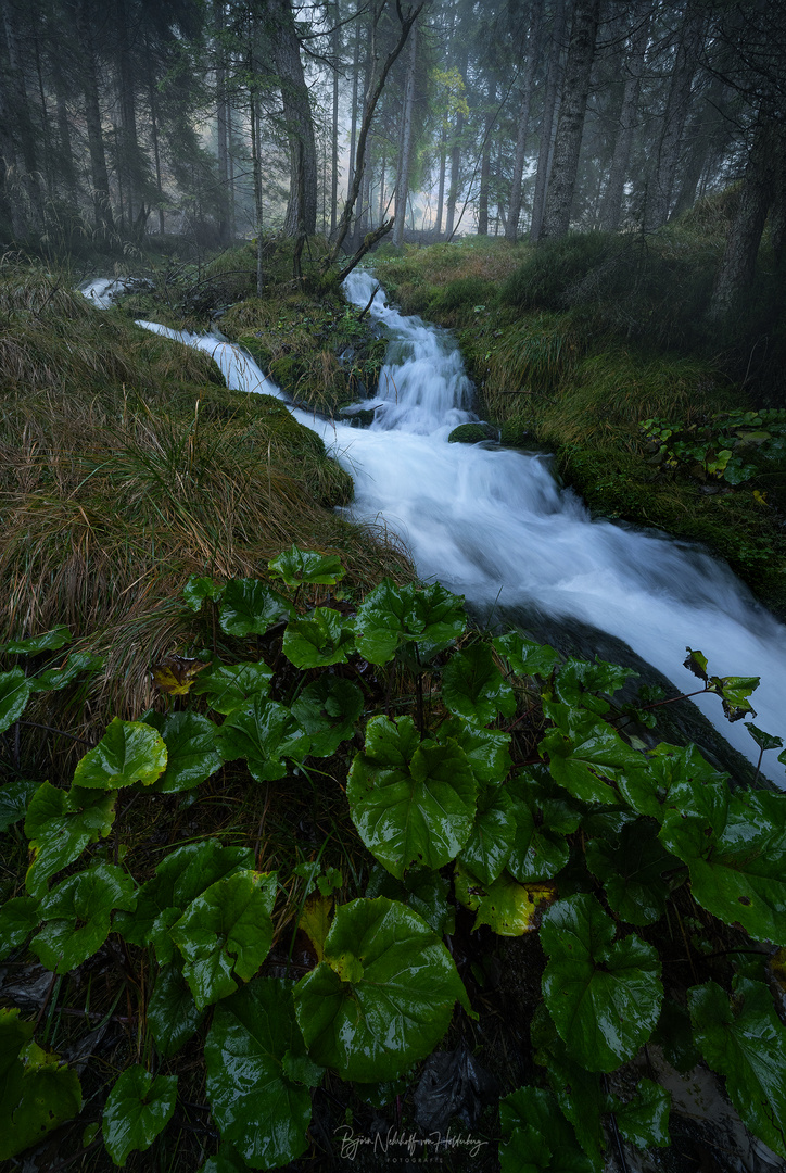 Waldbach