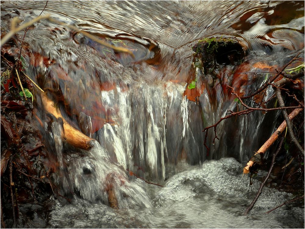 Waldbach Foto & Bild landschaft, sonstiges, projekte Bilder auf