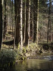 Waldbach