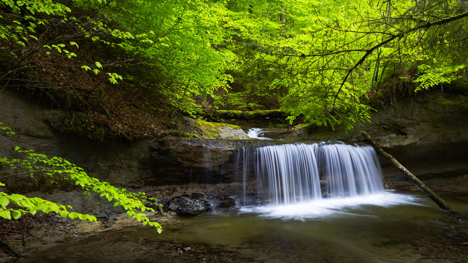 Waldbach