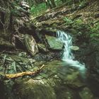 Waldbach an der Geierlayschleife bei Mörsdorf im Hunsrück