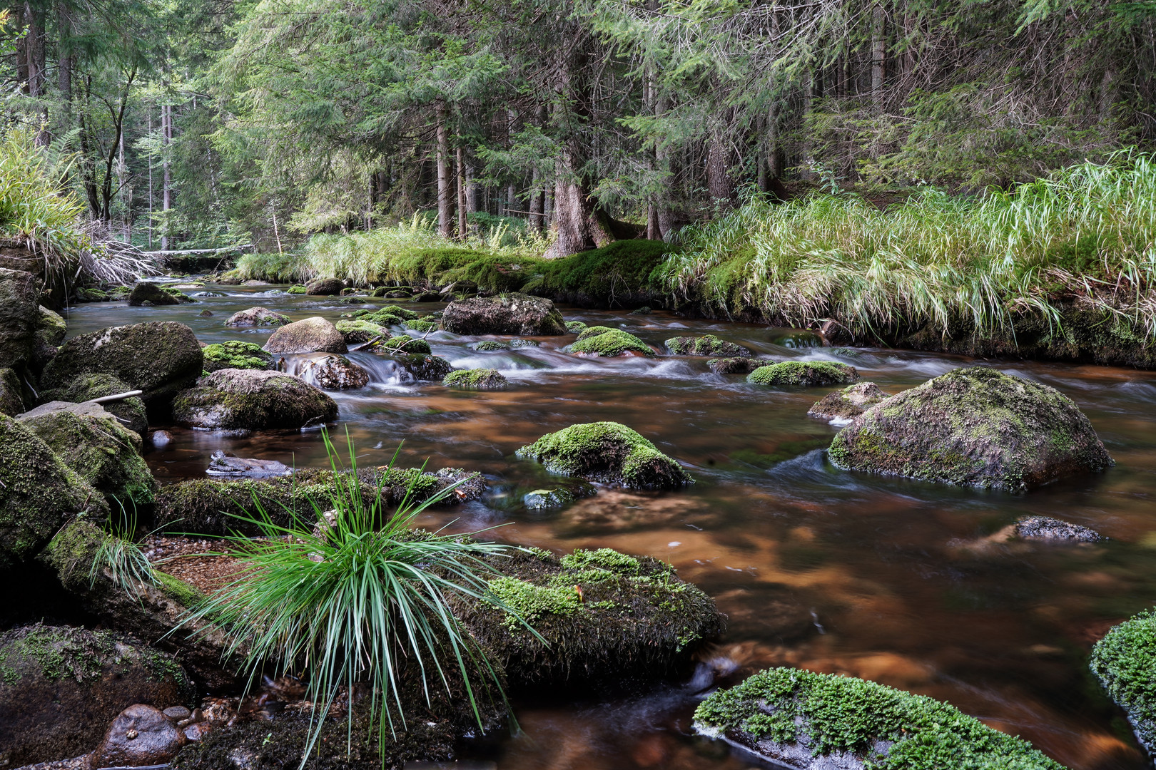 Waldbach