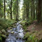 Waldbach, Bayerischer Wald