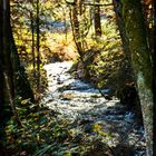 Waldbach bei Bad Feilnbach