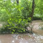 Waldbach bei Hochwasser 2013