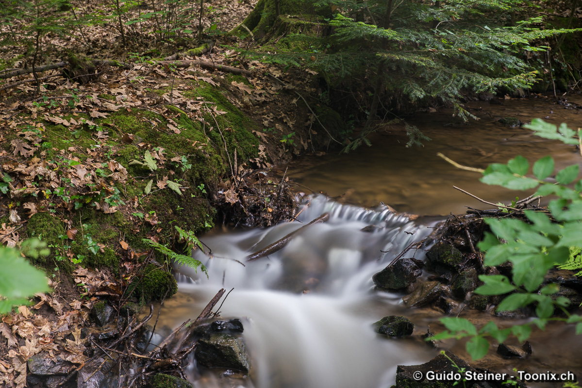 Waldbach