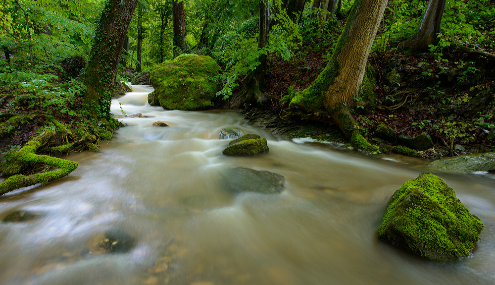 Waldbach