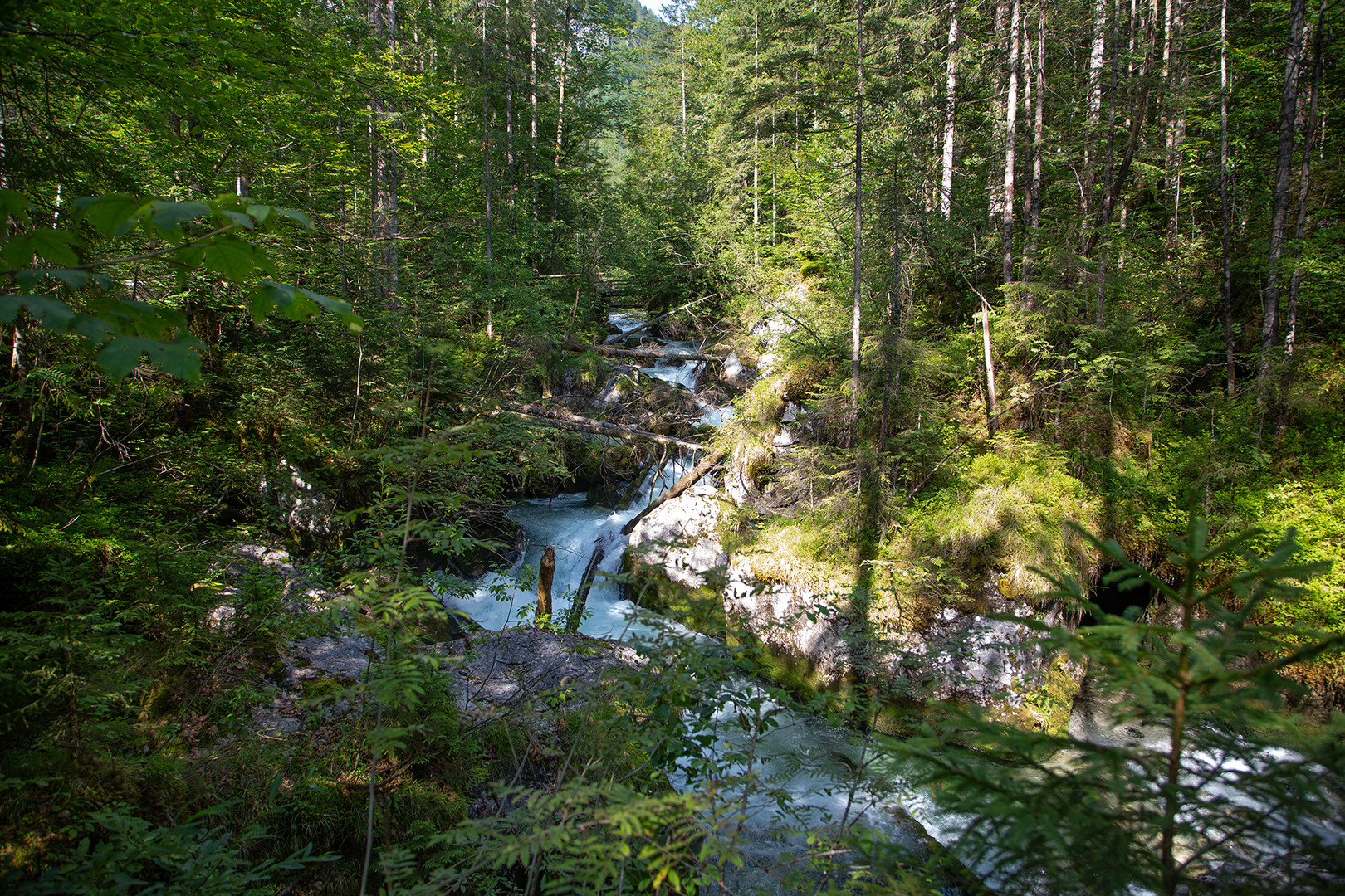 Waldbach im Echerntal bei Hallstatt