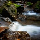 Waldbach im Erzgebirge