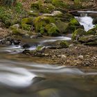 Waldbach im Frühling