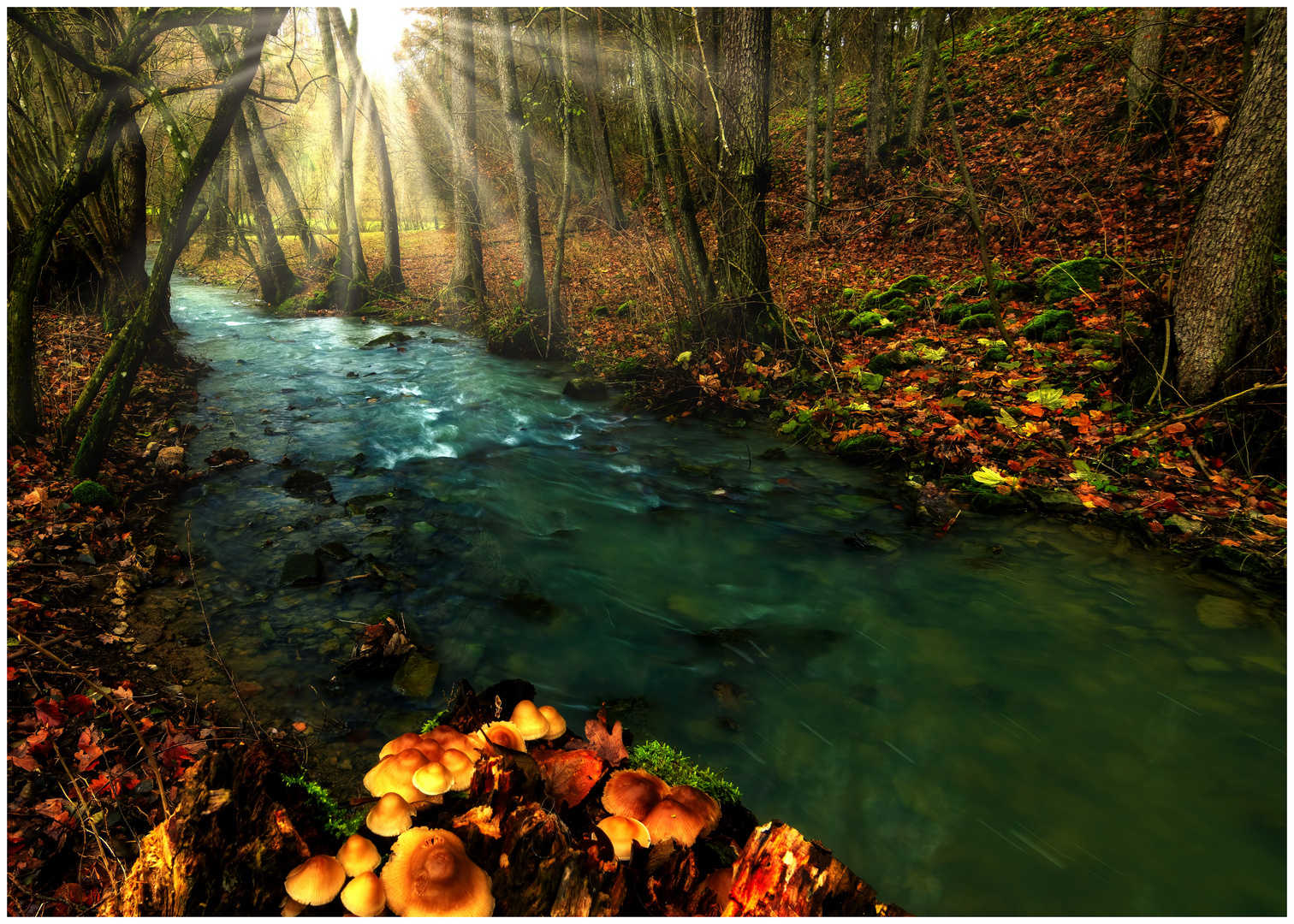 Waldbach im Herbst 