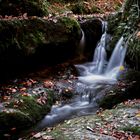 Waldbach im Herbst