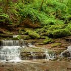 Waldbach im Spessart 2