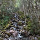 Waldbach im Squamish-Gebiet