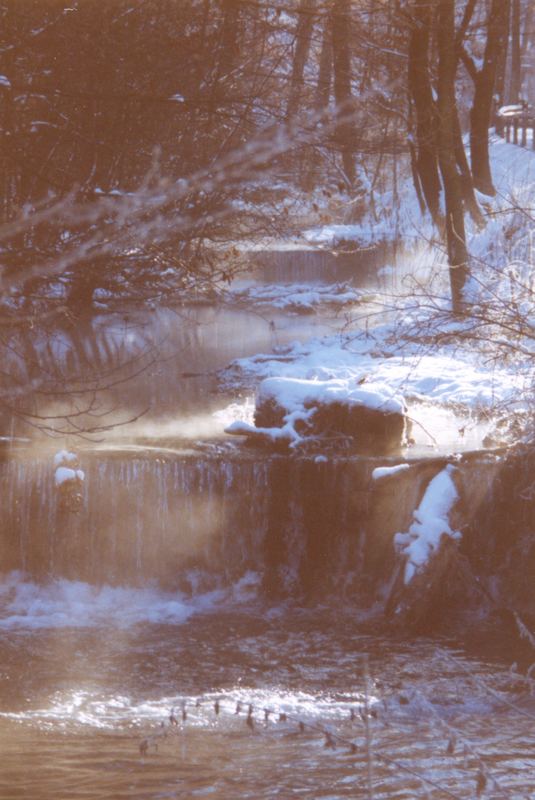 Waldbach im Winter