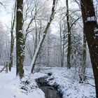 Waldbach im Winter