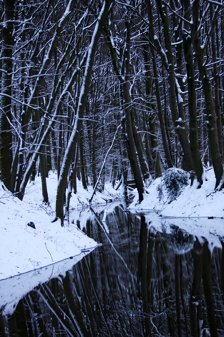 Waldbach im Winter