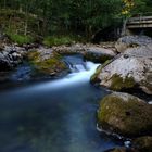 Waldbach in Südnorwegen