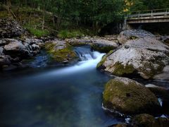 Waldbach in Südnorwegen