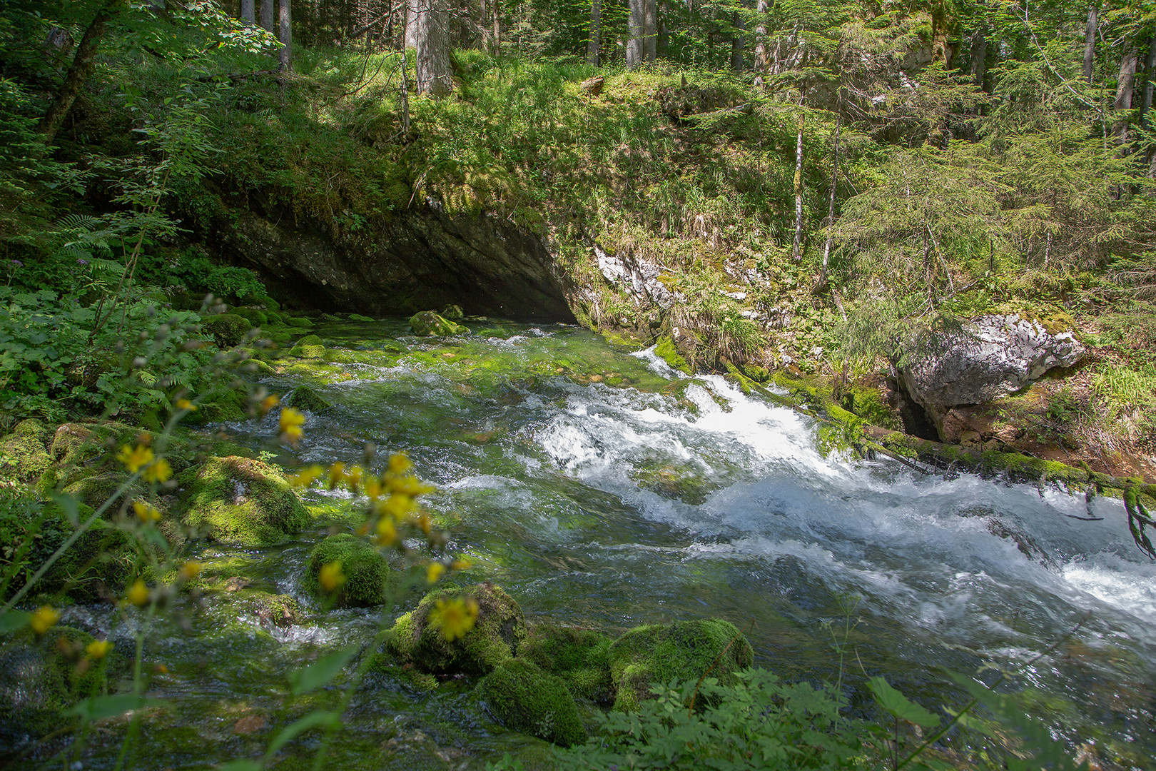 Waldbach-Karstquelle