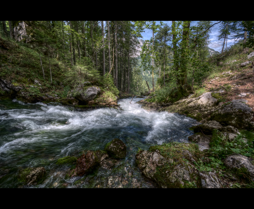 Waldbach Quelle
