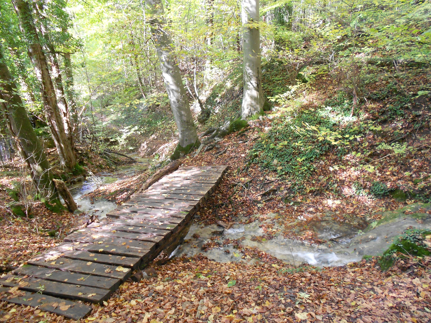 Waldbach unterhalb des Hohenneuffen