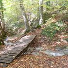 Waldbach unterhalb des Hohenneuffen