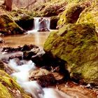 Waldbach zwischen Hartha u. Tharandt (bei Dresden)