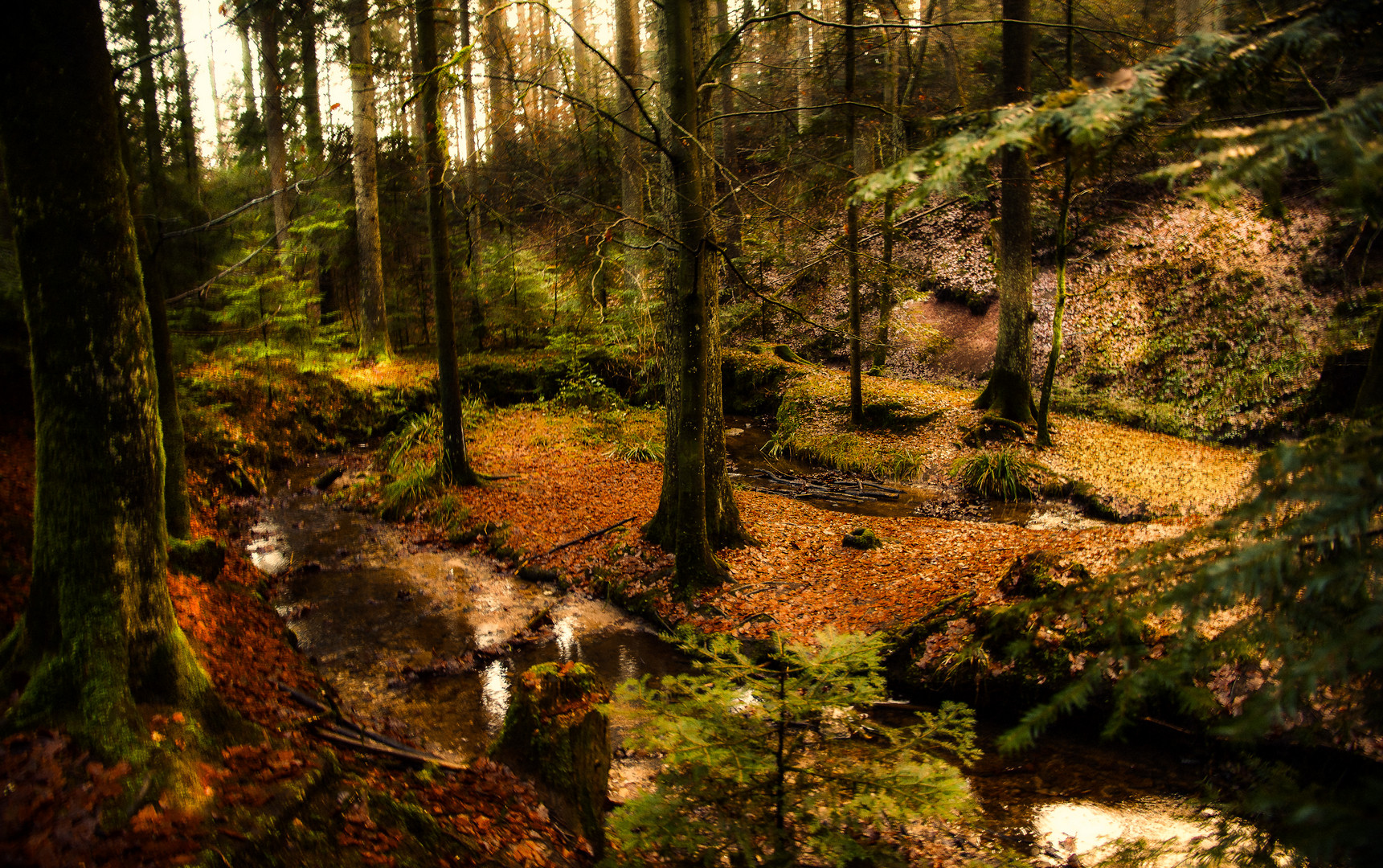 Waldbachlauf