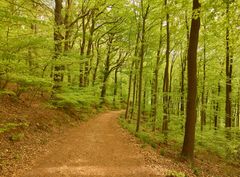 Waldbaden