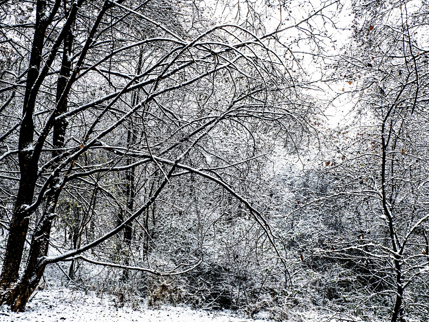 Waldbaden …….