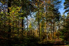 Waldbaden