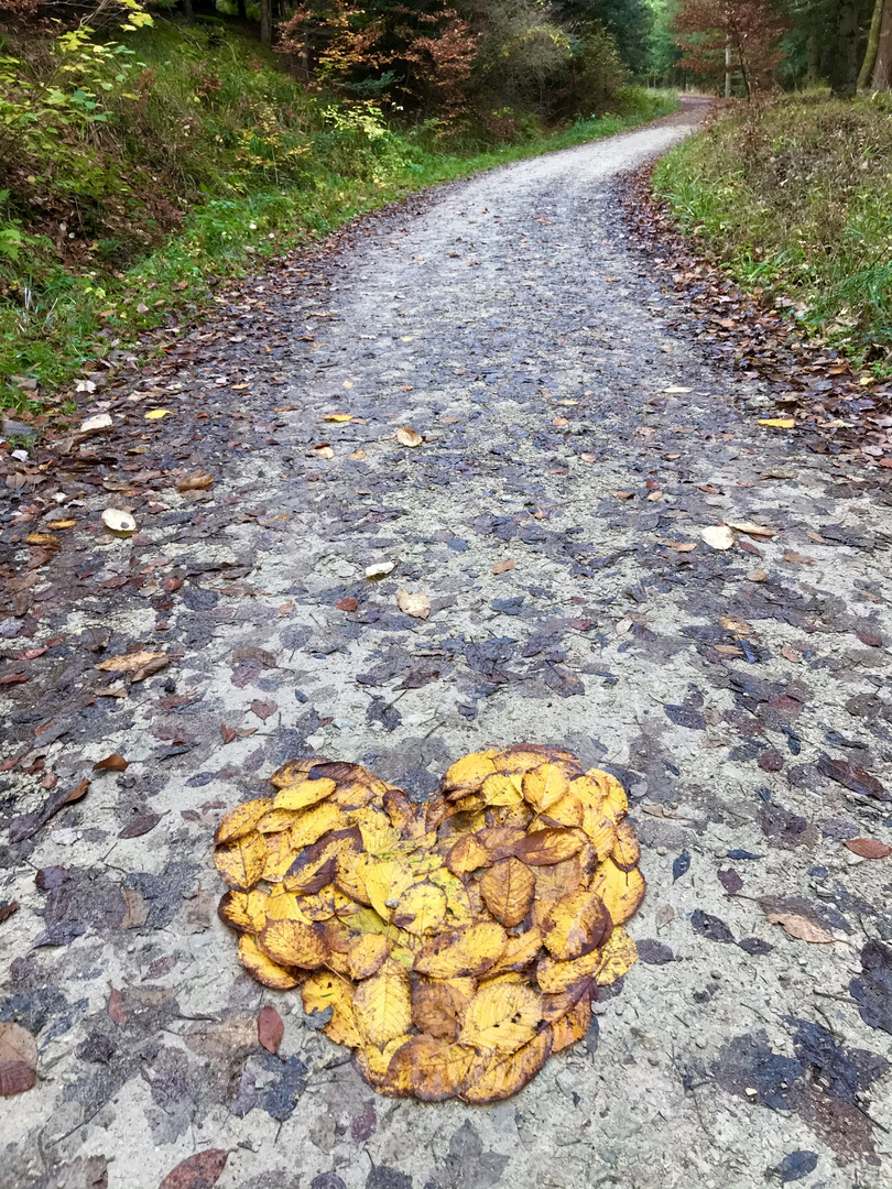 Waldbaden mit Herz