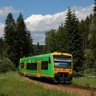 Waldbahn