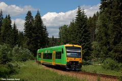 Waldbahn